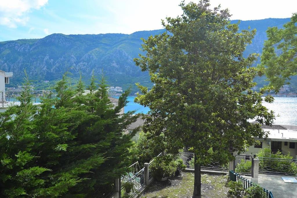 Urban Escape For Two In Kotor Apartment Bagian luar foto